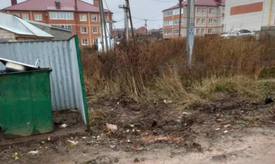 В Центре управления регионом рассказали об обращениях жителей Бугуруслана