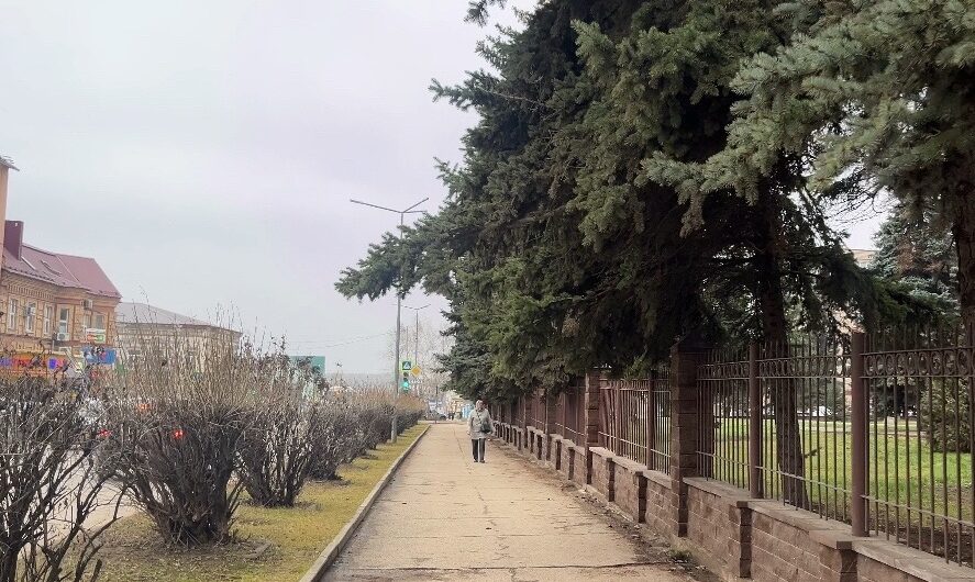 27 ноября в Бугуруслане будет малооблачно