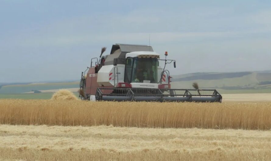 Оренбургская область увеличит поддержку малого агробизнеса в 2026 году