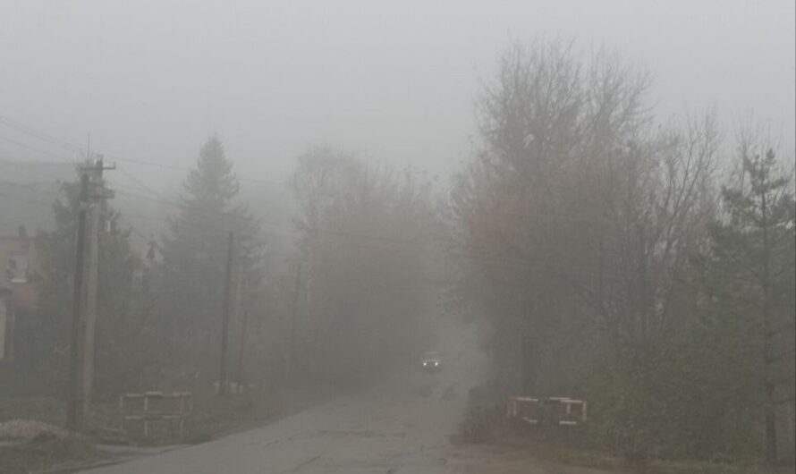 7 декабря в Бугуруслане будет туманно