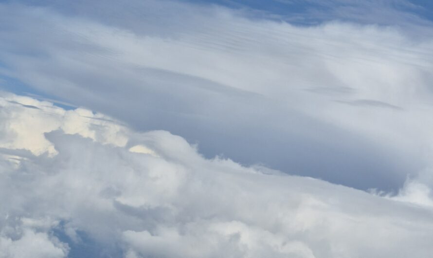 Евгений Солнцев разъяснил причины ограничения мобильной связи