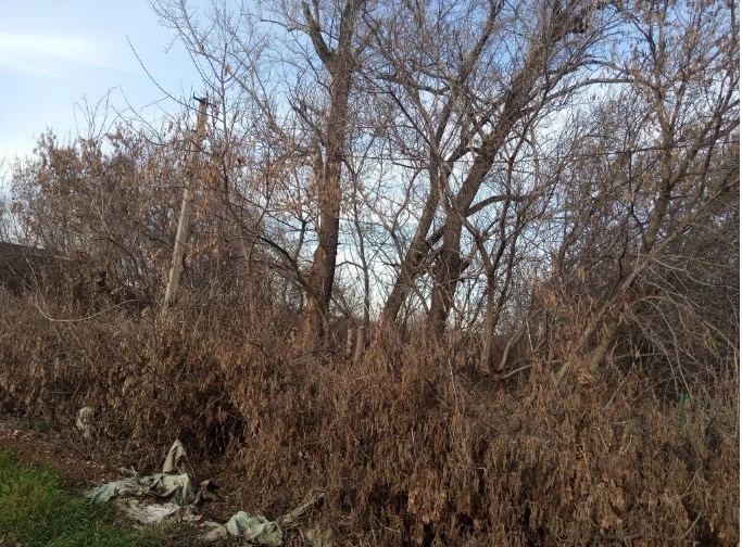 В Центре управления регионом рассказали об обращениях бугурусланцев