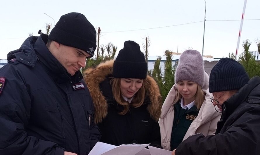 В Бугуруслане прошла межведомственная профилактика несанкционированной торговли елями и соснами