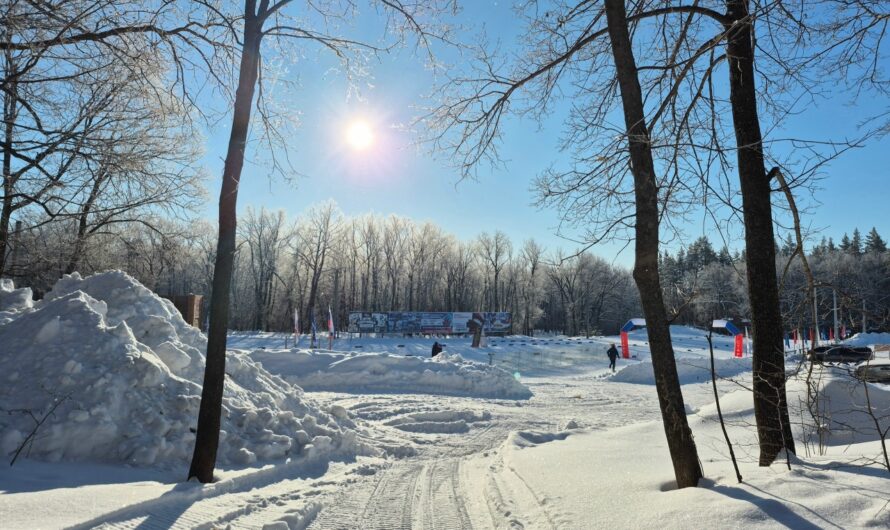 17 января в Бугуруслане будет морозно