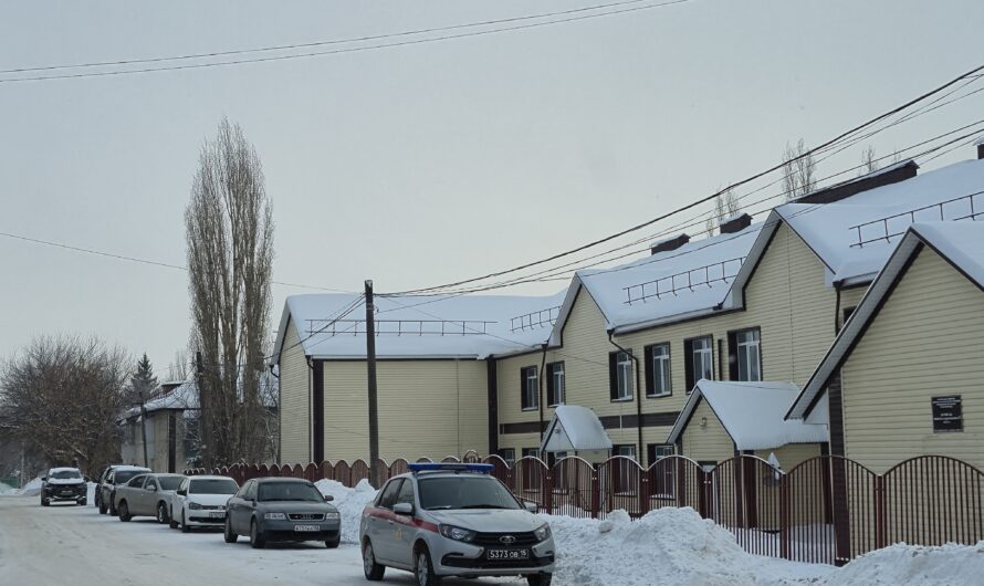 В Бугуруслане прокуратура начала проверку после нападения на детский сад