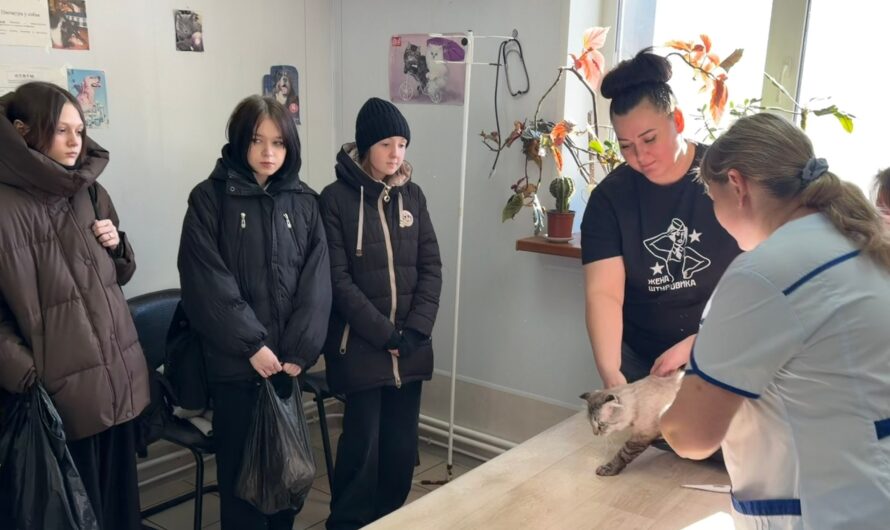 Бугурусланским школьникам показали будни ветеринарных врачей