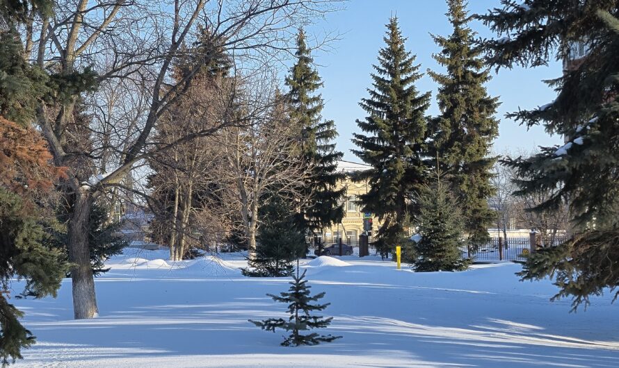 Бугурусланцев предупредили о резком похолодании