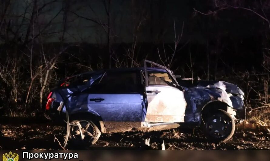 Жителя Бугуруслана отправили в колонию за смертельное ДТП
