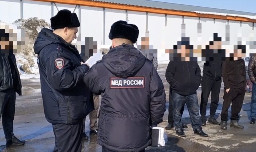 Бугурусланские полицейские выявили троих нелегалов