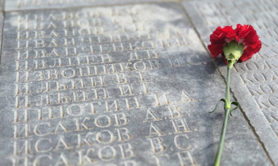 Оренбуржцы могут присоединиться к Всероссийской акции «Красная гвоздика»