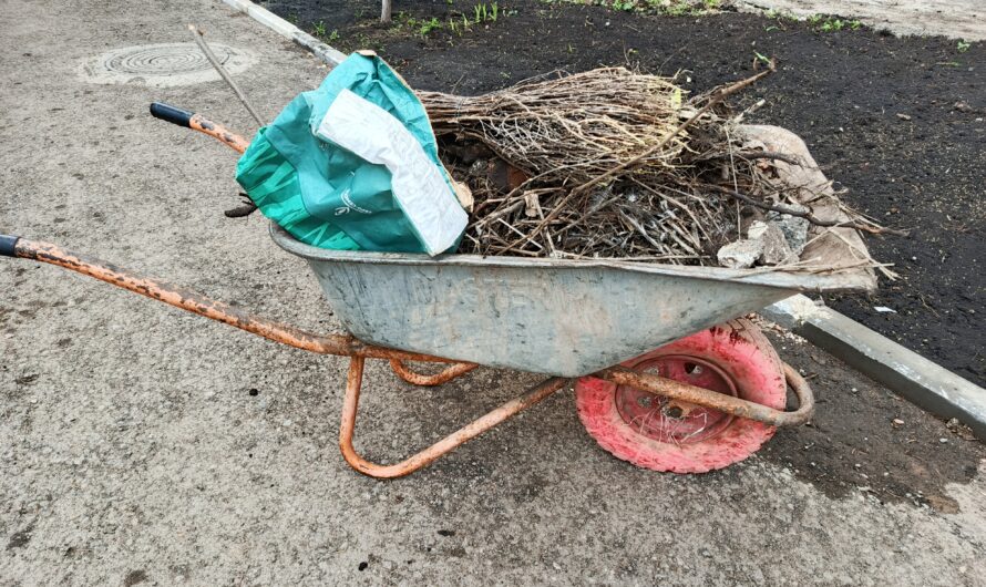 Региональный оператор напомнил оренбуржцам правила вывоза мусора