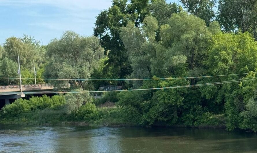 В Бугуруслане на реке Большой Кинель утонул ребенок