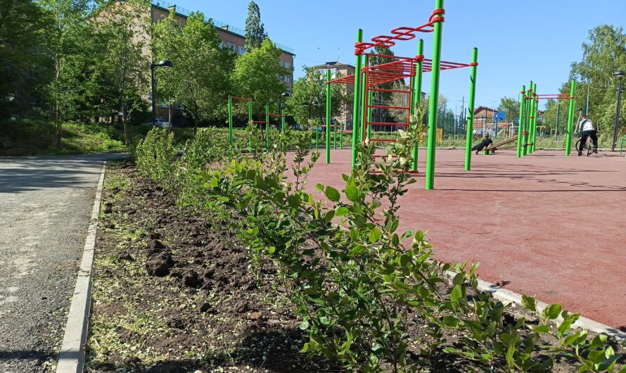 В Бугуруслане озеленили сквер «Комсомольский»