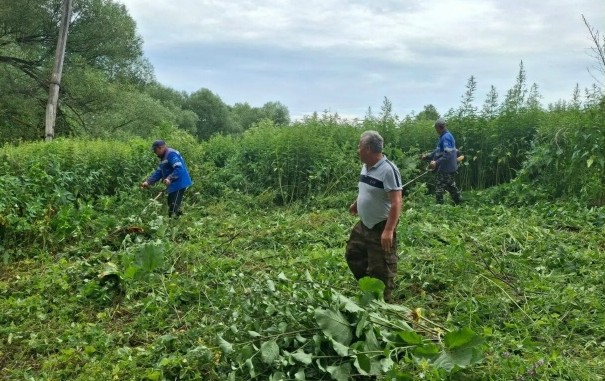 В селе Нойкино Бугурусланского района благоустраивают родник