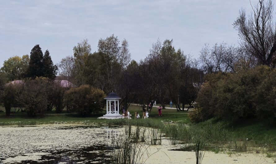 В Бугурусланском районе пройдет гастрономический фестиваль