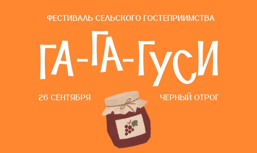 Можно и без гуся: жителей Оренбуржья приглашают на фестиваль сельского гостеприимства