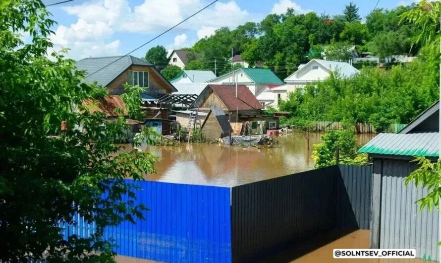 По поручению Евгения Солнцева: пострадавшим от паводка в Бугуруслане напоминают о сроках подачи заявлений на выплаты