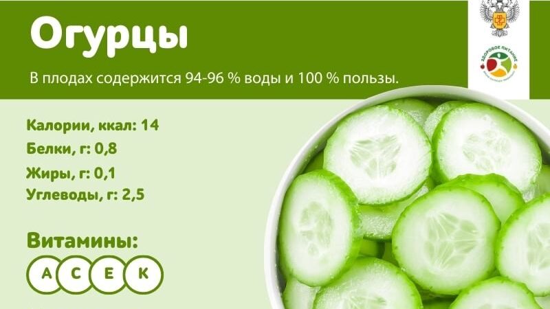 Огурцы содержат большое количество воды, витаминов, макро- и микроэлементов