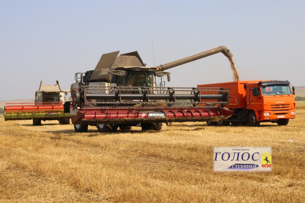 Спк ряжский агроцентр. Когда начинается уборка зерновых. Уборка урожая зерновых культур. Сбор пшеницы. Раздельная уборка пшеницы.