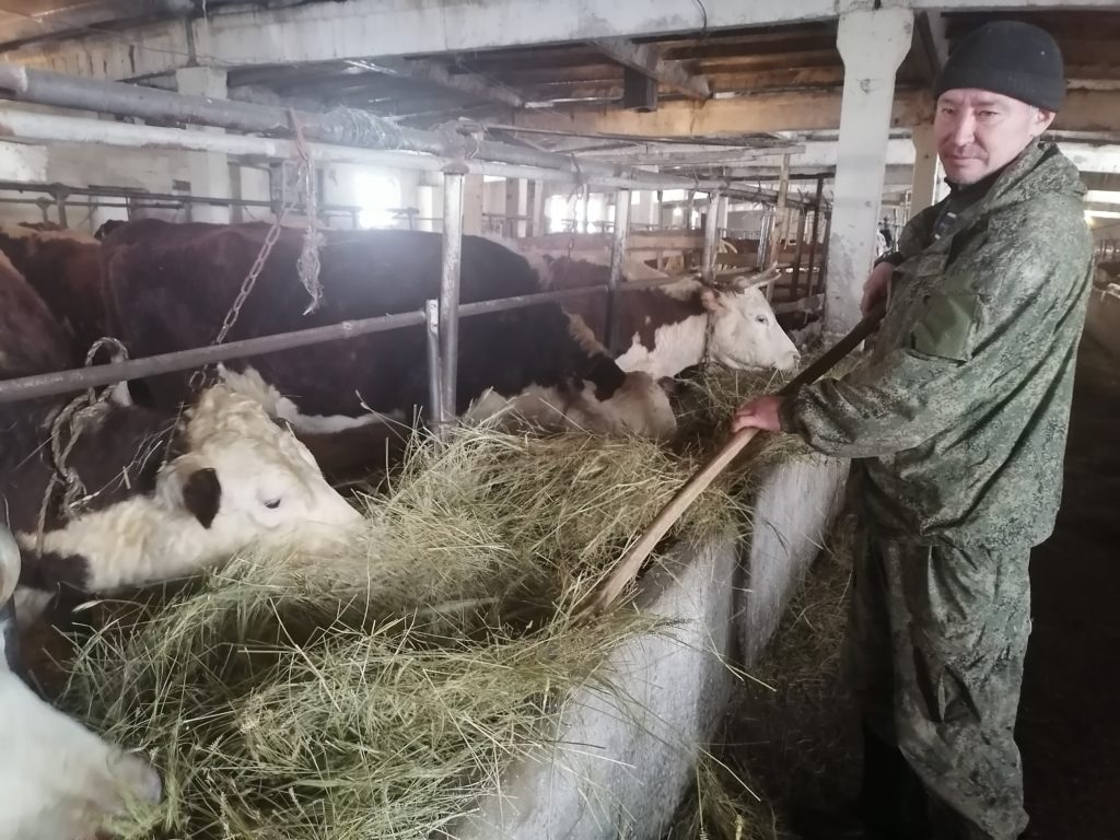 Спк тагил. Сельское хозяйство. Сельское хозяйство животноводство. Сельскохозяйственный производственный кооператив.