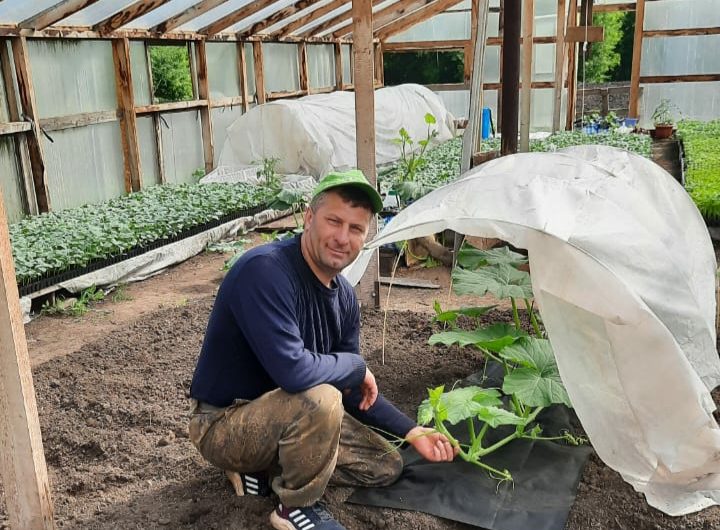 В Соль-Илецком округе продолжается посев бахчевых культур под плёнку