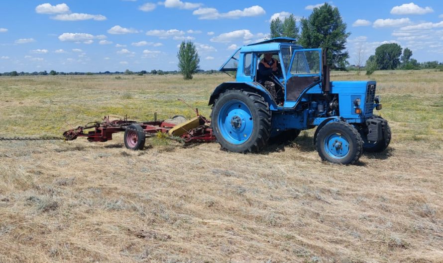 В хозяйствах Соль-Илецкого городского округа продолжается заготовка сенажа