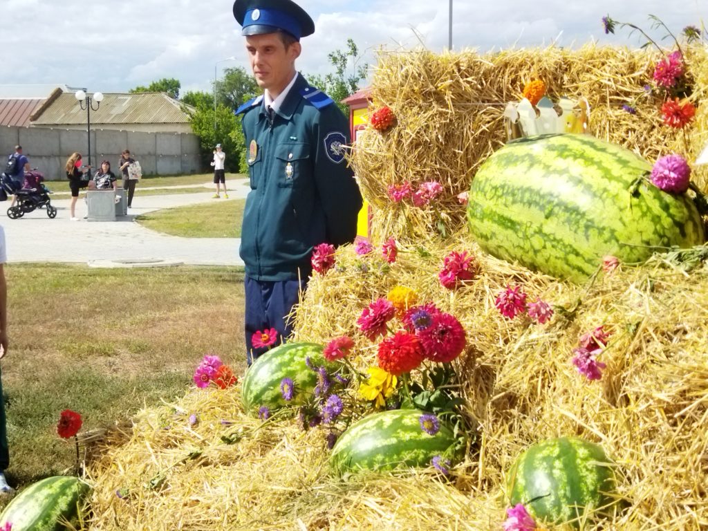 Оренбургский областной центр медицинской профилактики