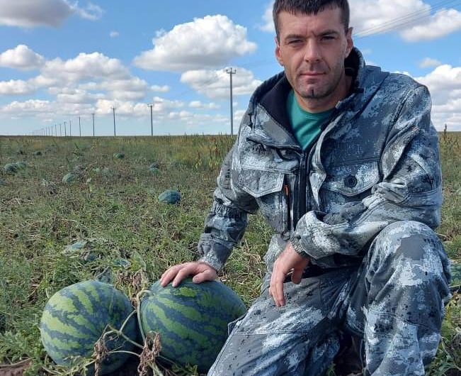 Глава фермерского хозяйства из Саратовки Иван Мокрушин в выращивании арбузов предпочтение отдаёт сорту «Каристан»