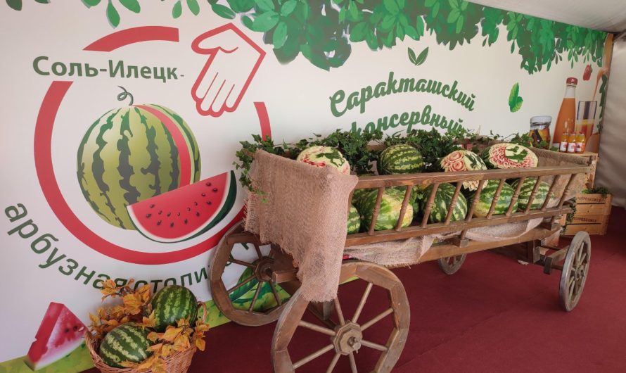 Пять тонн сладких соль-илецких арбузов увезли на выставку в Нижний Новгород