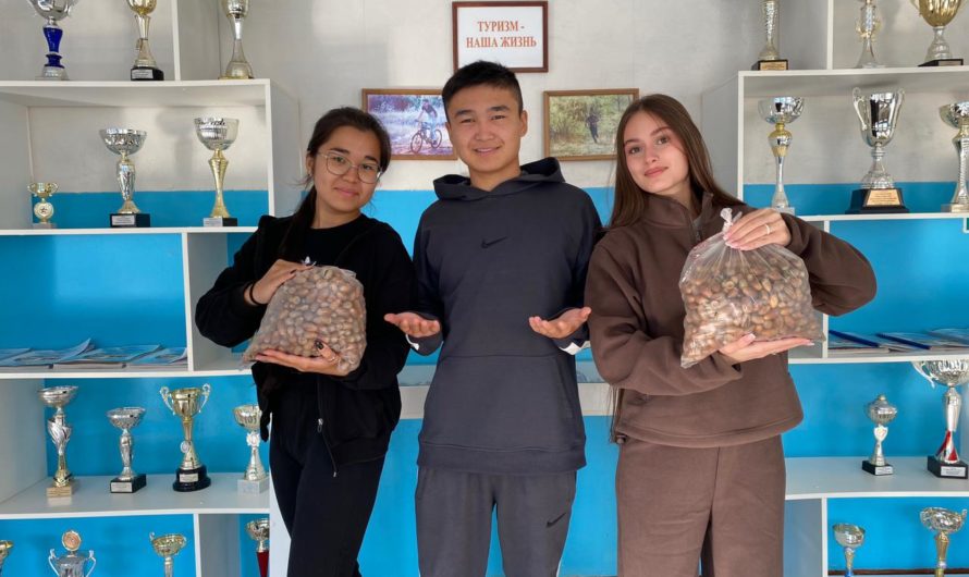 Соль-илецкие школьники  приняли участие в операции «Жёлудь»