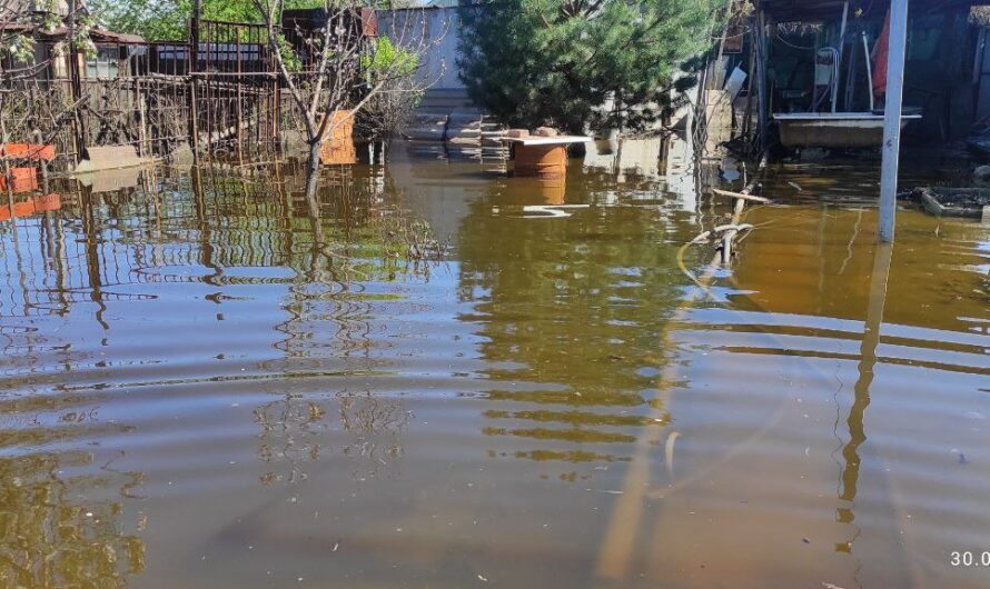 Денис Паслер: Садоводы массово пострадали от паводка