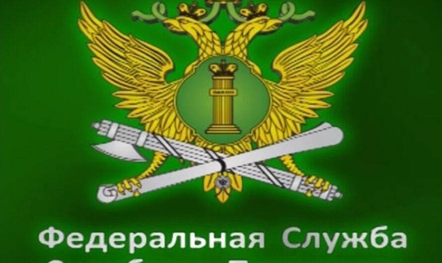 Судебные приставы рассказали, сколько сохраняется задолженность по алиментам