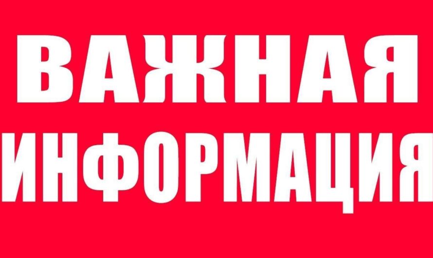 Денис Паслер сообщил, что в Оренбуржье пик паводка пройден