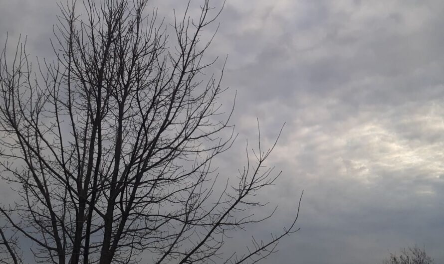 Днем, 10 апреля, в Соль-Илецке прогнозируют дождь