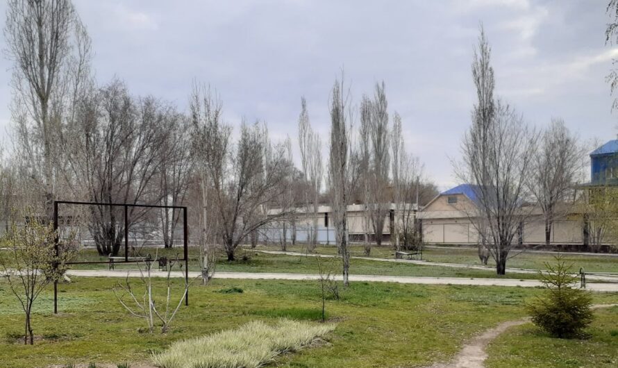 Днем, 22 апреля, в Соль-Илецке будет тепло и солнечно