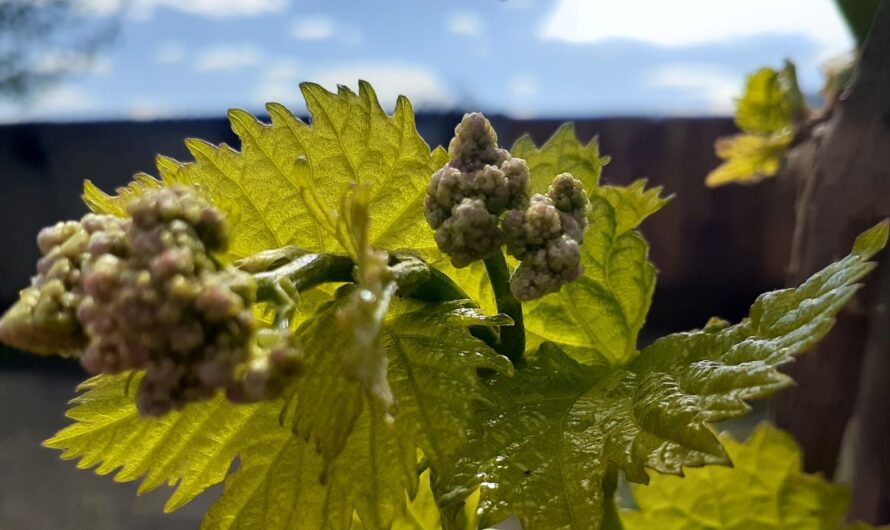 В Соль-Илецке 19 мая ожидается до +23 градусов