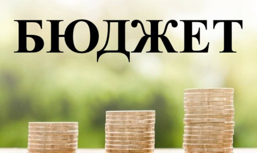 Депутаты Соль-Илецкого муниципального округа утвердили отчет об исполнении бюджета муниципального образования за 2024 год