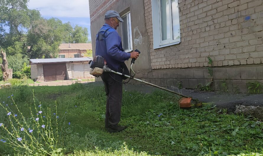 Двор без сорняков