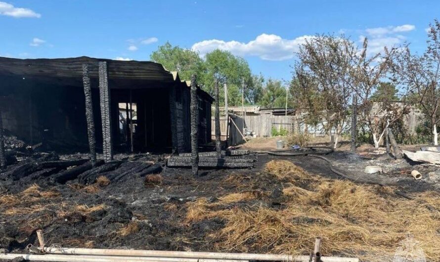 В Соль-Илецком округе на пожаре погибли 7 голов КРС