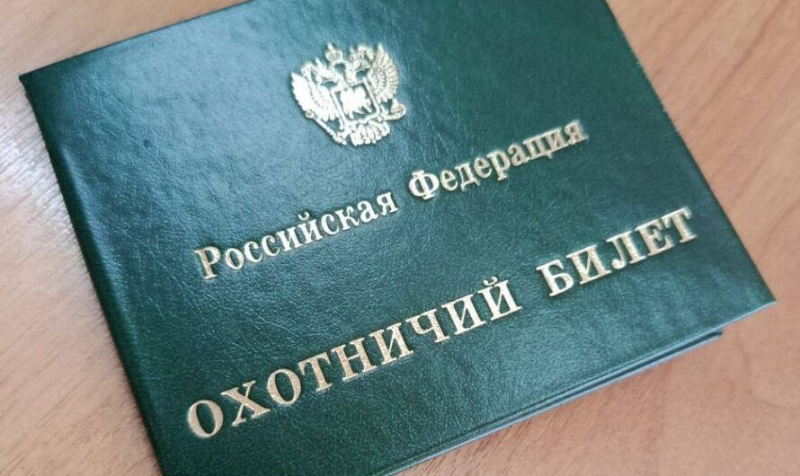 Оренбуржцы смогут получить охотничий билет только после успешной сдачи экзамена