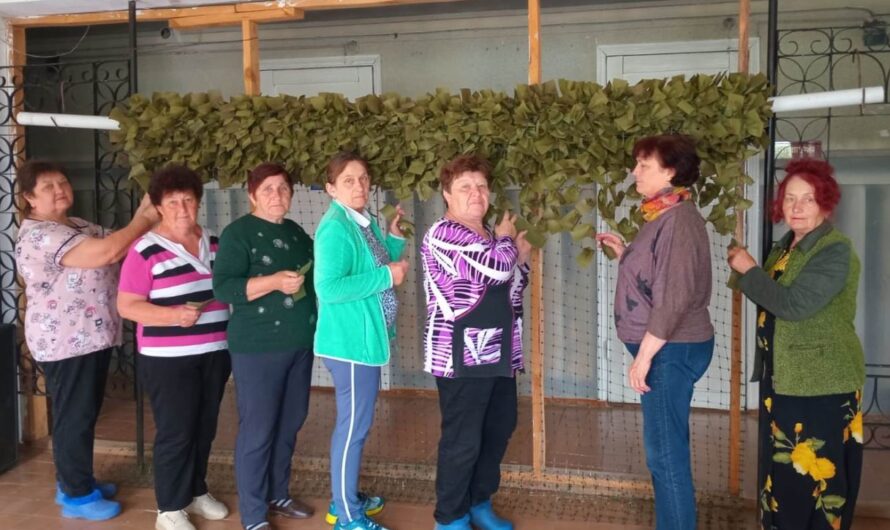 «Серебряные волонтеры» из Беляевского района помогают бойцам СВО