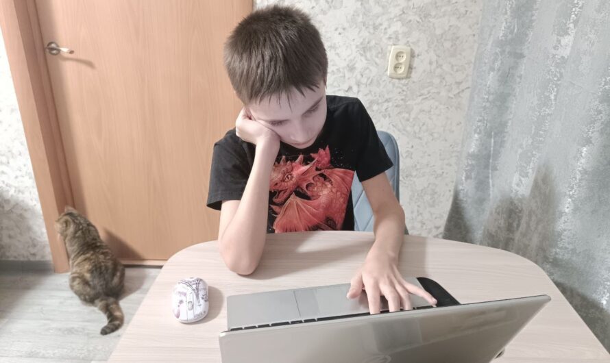 Оренбуржцы поделились своим мнением по поводу сдачи ЕГЭ учителями