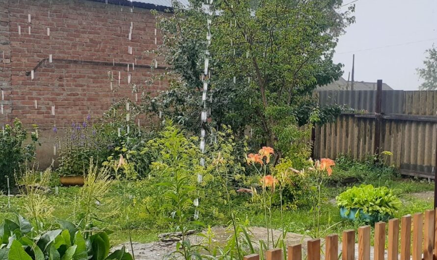 В Соль-Илецком округе прошел ливень с градом