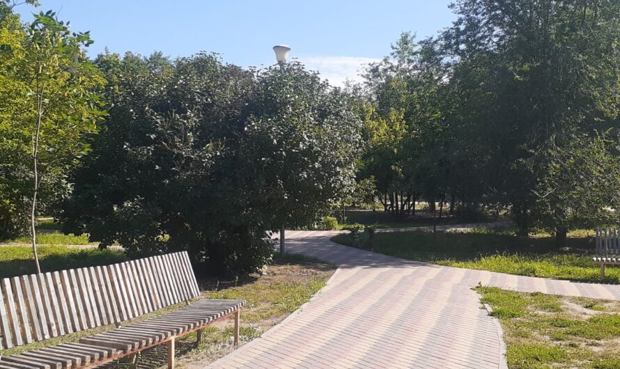 В Соль-Илецке 28 августа ожидается до +23 градусов