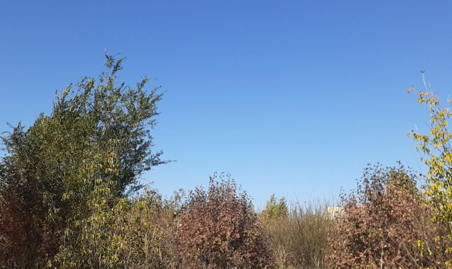 Солнечно, но прохладно. В Соль-Илецке в последний день сентября будет +9 градусов