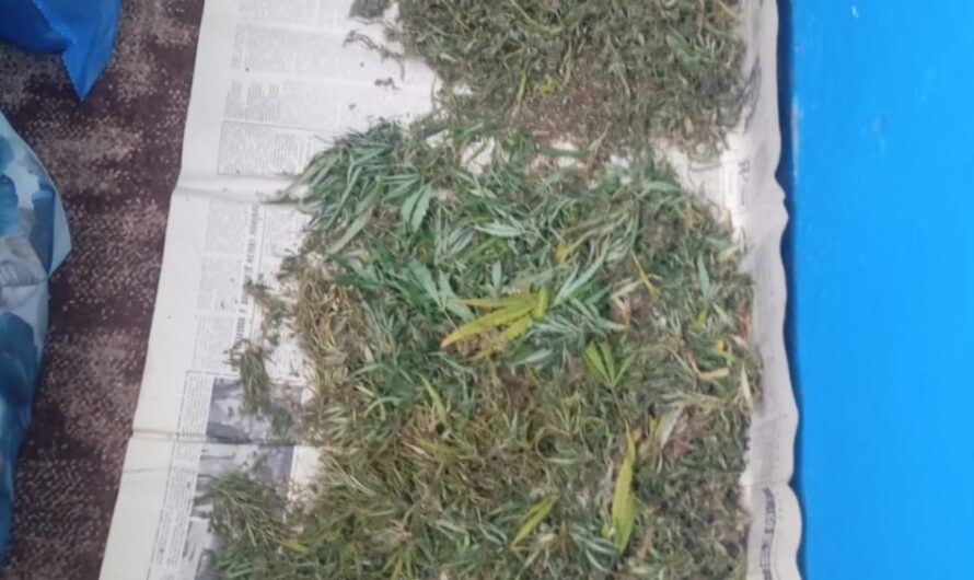 В Соль-Илецке 46-летнего мужчину задержали с крупной партией наркотиков