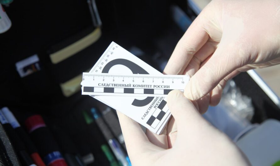 Расчленил и сжег в печи. Жителя Соль-Илецкого округа будут судить за убийство знакомого