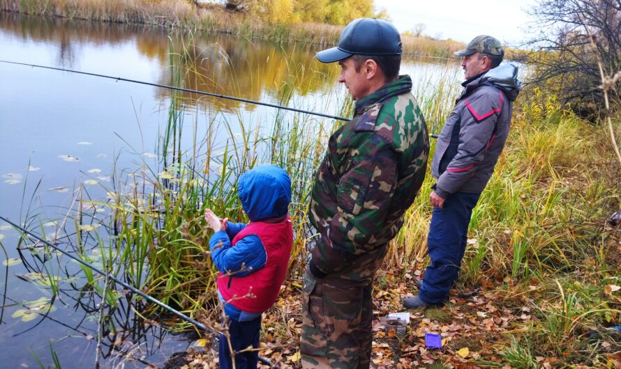 В конце октября оренбуржцы будут работать шесть дней