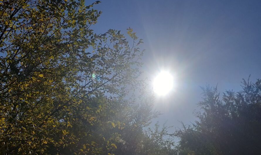 В Соль-Илецке 24 октября потеплеет