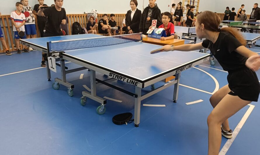 В Тамар-Уткуле 22 ноября пройдёт XIX турнир по настольному теннису